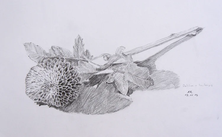 Student drawing by Nina Richner