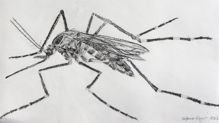 Student drawing by Stefanie Wagner