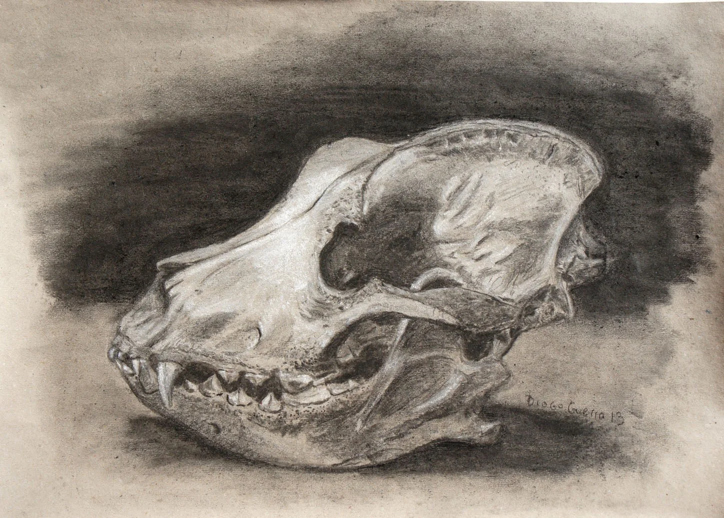 Work by Diogo Guerra